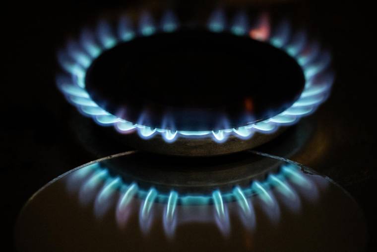 Historiquement, le prix du gaz n'a été plus élevé que lors de deux séances, début mars (illustration) ( AFP / LOIC VENANCE )