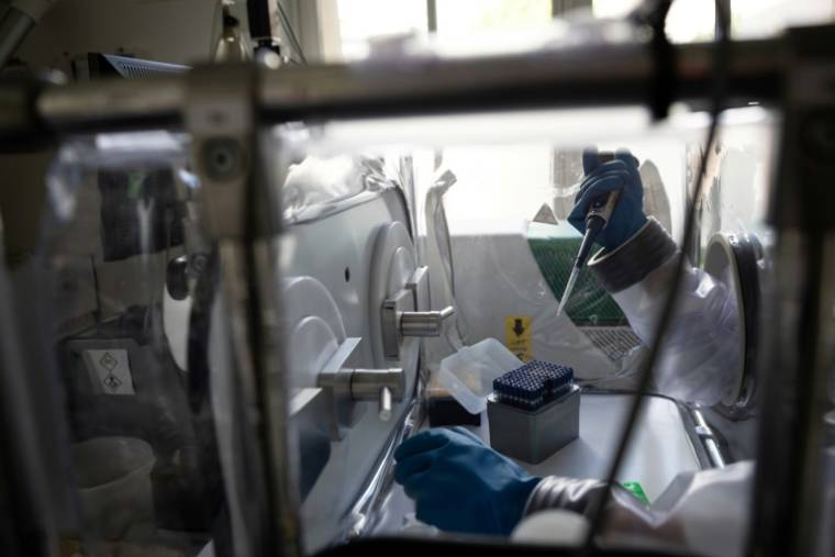 Une biologiste prépare des échantillons d'agents pathogènes dans un système de filtration de l'air à la Cellule d'intervention biologique d'urgence (CIBU) de l'Institut Pasteur, le 23 avril 2024 à Paris ( AFP / Alain JOCARD )