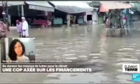 La COP29: comment financer la transition écologique?