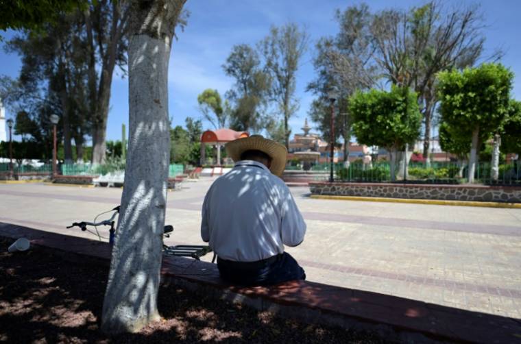 Un homme assis à l'ombre d'un arbre à Tepatepec, ville natale de la candidate de l'opposition à la présidentielle, Xochitl Galvez, le 21 mai 2024 au Mexique ( AFP / ALFREDO ESTRELLA )
