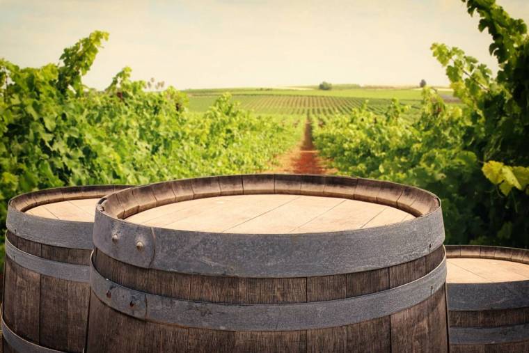 Investir dans les grands vins-iStock-tomertu