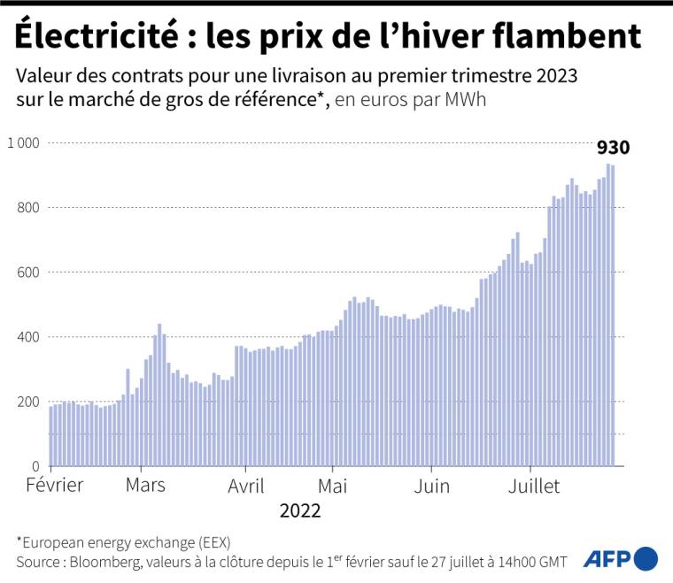 Evolution du prix de l'électricité pour les achats à terme du premier trimestre 2023 ( AFP /  )