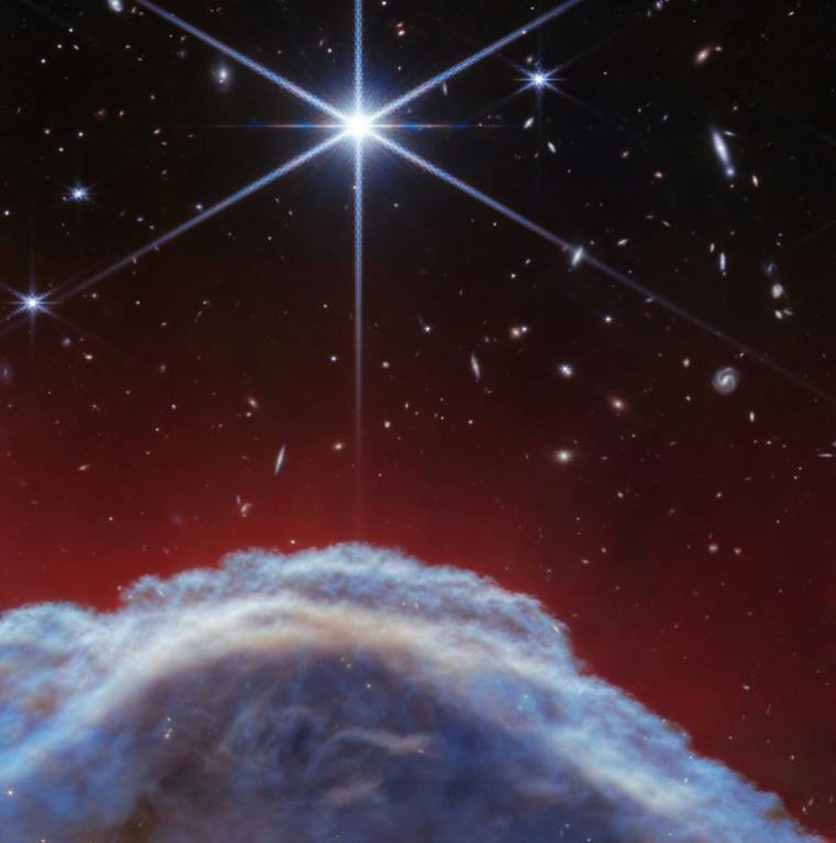 Le haut de la nébuleuse de la Tête de cheval, capturé par le télescope James Webb de la Nasa, image obtenue le 29 avril 2024 ( ESA, NASA, CSA, STScI / - )