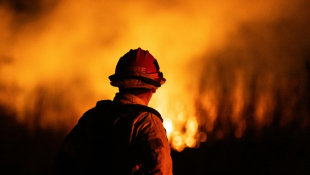 Un pompier à Oxnard, au nord de Los Angeles, le 13 janvier 2025 ( AFP / ETIENNE LAURENT )