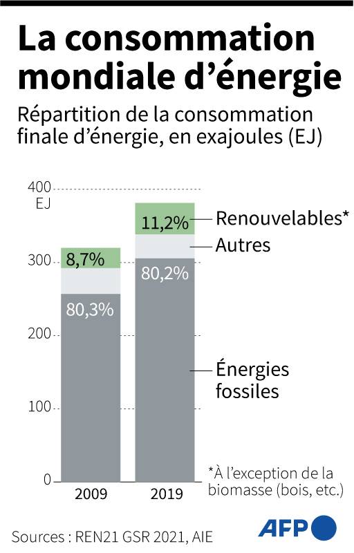 La consommation mondiale d'énergie. ( AFP /  )