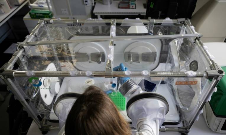 Une biologiste prépare des échantillons d'agents pathogènes dans un système de filtration de l'air à la Cellule d'intervention biologique d'urgence (CIBU) de l'Institut Pasteur, le 23 avril 2024 à Paris ( AFP / ALAIN JOCARD )