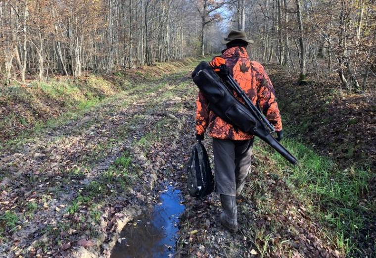 Un chasseur porte son fusil pendant une partie de chasse dans la forêt de Ferrieres, à Pontcarre