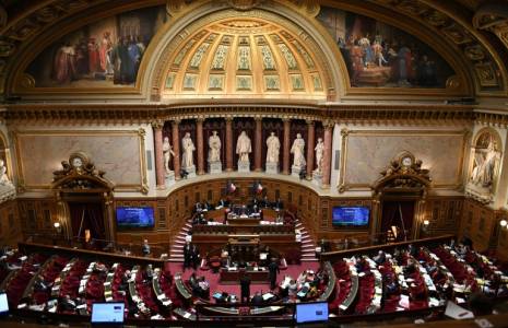 Session au Sénat, le 6 mars 2023 à Paris ( AFP / Alain JOCARD )