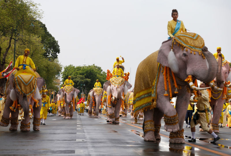 DÉFILÉ D'ÉLÉPHANTS BLANCS EN L'HONNEUR DU ROI DE THAÏLANDE