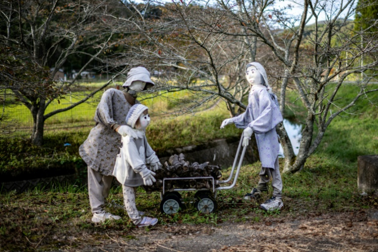 Des mannequins dans le village d'Ichinono, le 21 octobre 2024 au Japon ( AFP / Philip FONG )