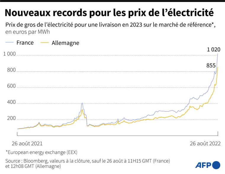 Evolution des prix de gros de l'électricité pour 2023 en Allemagne et en France, sur un an, depuis le 26 août 2021 ( AFP /  )