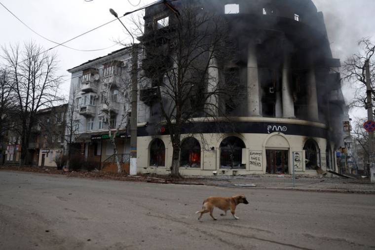 Un chien passe devant un bâtiment brûlé par une frappe, lors d'un bombardement à Bakhmout