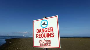 Un panneau avertissant du danger des attaques de requins à la plage de l'Etang-Salé, sur l'île de La Réunion, 1er mars 2019 ( AFP / Richard BOUHET )