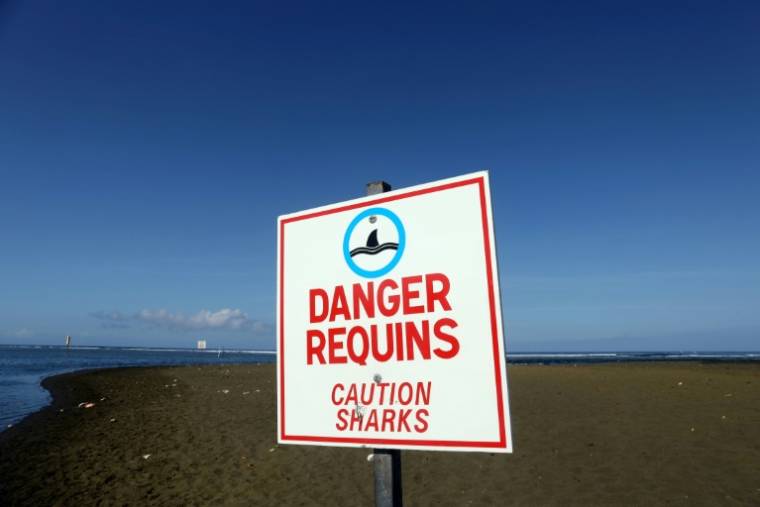 Un panneau avertissant du danger des attaques de requins à la plage de l'Etang-Salé, sur l'île de La Réunion, 1er mars 2019 ( AFP / Richard BOUHET )
