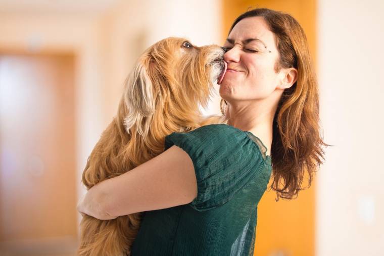 Un bailleur peut-il interdire à un locataire d’avoir un animal? crédit photo : Shutterstock