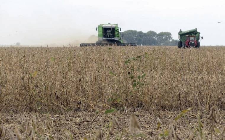 Farmers harvest soy beans near the town of Perez Millan
