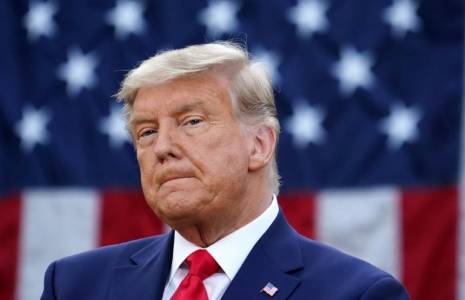 Donald Trump dans la roseraie de la Maison Blanche, le 13 novembre 2020 ( AFP / MANDEL NGAN )