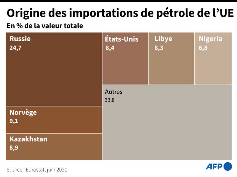 Graphique montrant la proportion et le pays d'origine du pétrole importé par l'Union européenne  ( AFP /  )