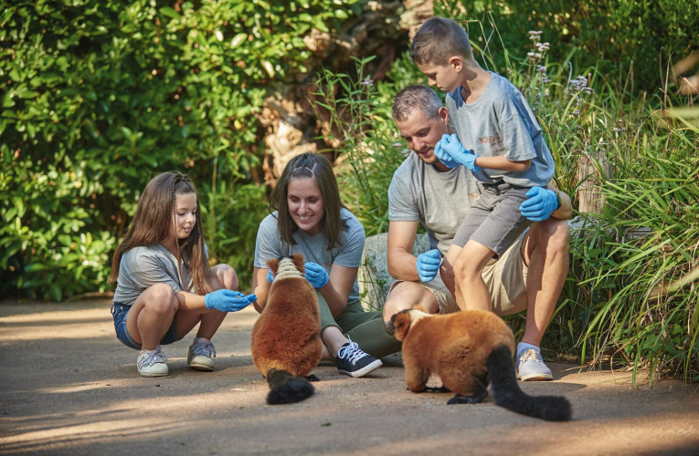 Immergez-vous dans le quotidien des soigneurs du zoo de la Flèche, pour vivre une expérience inoubliable. ( crédit photo : V. Corvasier )