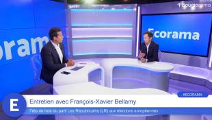 François-Xavier Bellamy (LR) : "La Chine a une stratégie offensive de conquête pour détruire la production industrielle en Europe !"