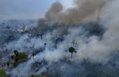 Incendie de forêt volontaire près de Labrea, en Amazonie brésilienne, le 4 septembre 2024 ( AFP / MICHAEL DANTAS )