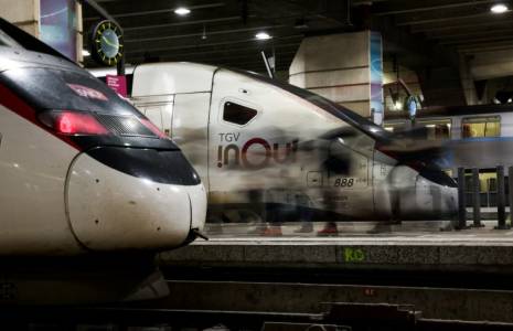 Des voyageurs sur le point d'embarquer à la gare Montparnasse, le 16 février 2024  ( AFP / Ian LANGSDON )