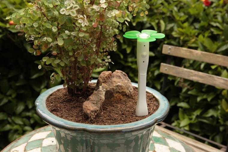 Le capteur EasyBloom Plant Sensor vous donnera une liste des plantes qui s'adapteront le mieux à votre jardin. Pour cela, il analysera la qualité de la terre, l'exposition à la lumière ou encore les températures de l'air et de la terre.