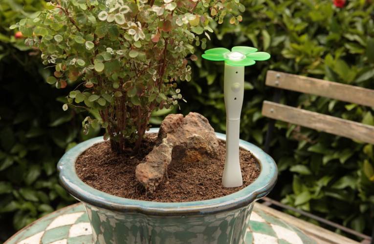 Le capteur EasyBloom Plant Sensor vous donnera une liste des plantes qui s'adapteront le mieux à votre jardin. Pour cela, il analysera la qualité de la terre, l'exposition à la lumière ou encore les températures de l'air et de la terre.