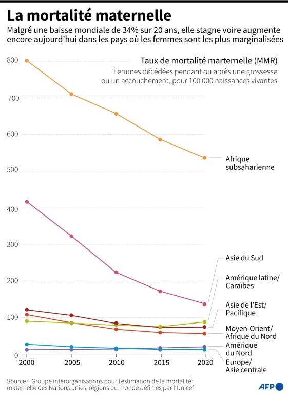 Evolution du taux de mortalité maternelle dans les différentes régions du monde entre 2000 et 2020 ( AFP / Bertille LAGORCE )