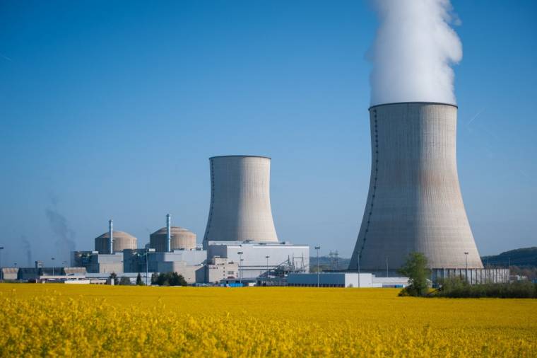 L'Allemagne a engagé une sortie totale de l'énergie nucléaire après la catastrophe industrielle de la centrale de Fukushima en 2011. ( AFP / GUILLAUME SOUVANT )