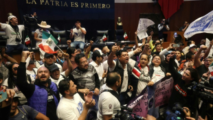 Des manifestants opposés à un projet de réforme de la justice envahissent le Sénat mexicain, le 10 septembre 2024 ( AFP / Silvana FLORES )