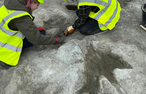 Photo des membres de l'équipe de fouilles travaillant sur les empreintes dans la carrière de Dewars Farm, dans le centre de l'Angleterre, le 17 juin 2024, publiée par l'Université d'histoire naturelle d'Oxford le 2 janvier 2025 ( Oxford University Museum of Natural History / Emma NICHOLLS )