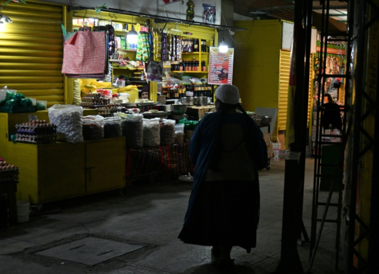 Des échoppes au mercado Lanza à La Paz, le 20 novembre 2024 en Bolivie ( AFP / AIZAR RALDES )