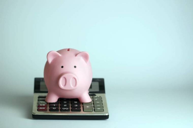 Niches ou dérogations fiscales : quelles différences ? / iStock.com - serdjophoto