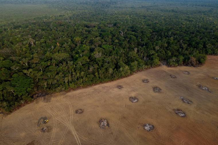 A Humaita, les ravages de la déforestation dans la forêt amazonienne au Brésil, le 15 septembre 2022. ( AFP / MICHAEL DANTAS )