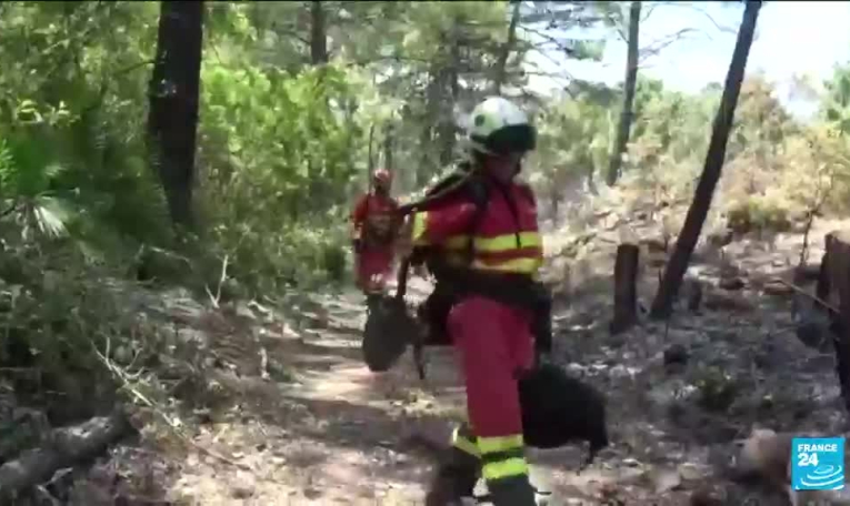 Incendies en Espagne: Plus de 2 000 personnes évacuées