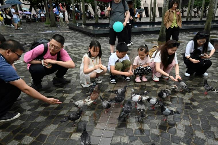 Des touristes de Chine continentale nourrissent des pigeons sur le front de mer de Tsim Sha Tsui à Hong Kong, le 1er mai 2024 ( AFP / Peter PARKS )