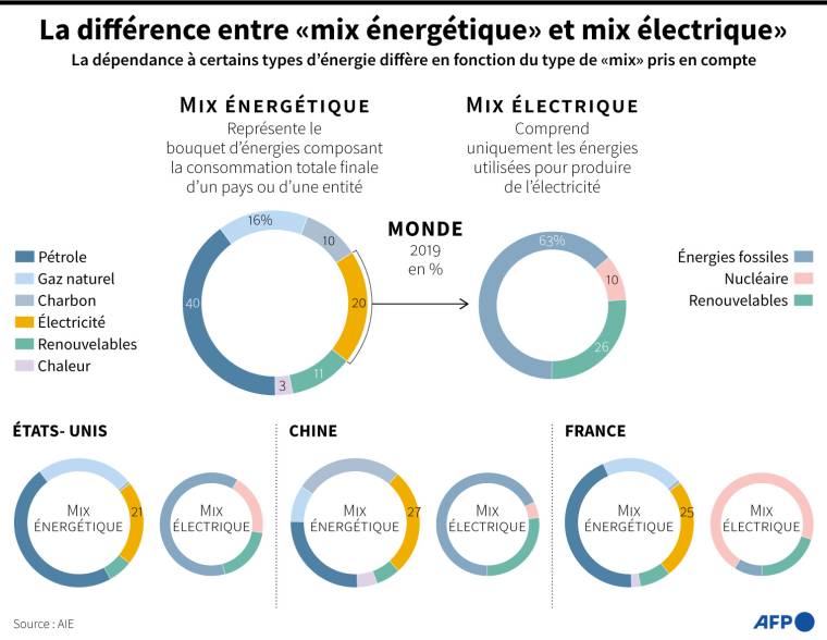 Graphique montrant les différentes sources d'énergies prises en compte dans le calcul du "mix énergétique" et du "mix électrique" ( AFP /  )
