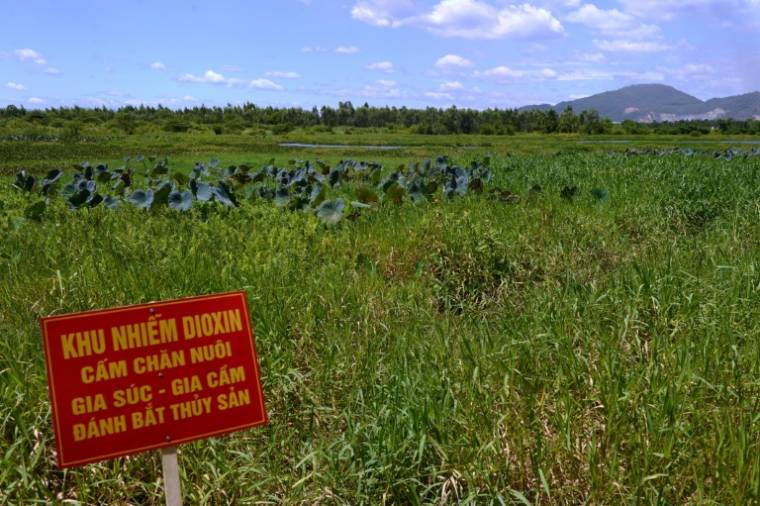 Un panneau signalant une "zone contaminée par la dioxine" au lac Ho Sen près de l'aéroport de Danang, ancienne base aérienne américaine, le 9 août 2012 au Vietnam ( AFP / HOANG DINH NAM )