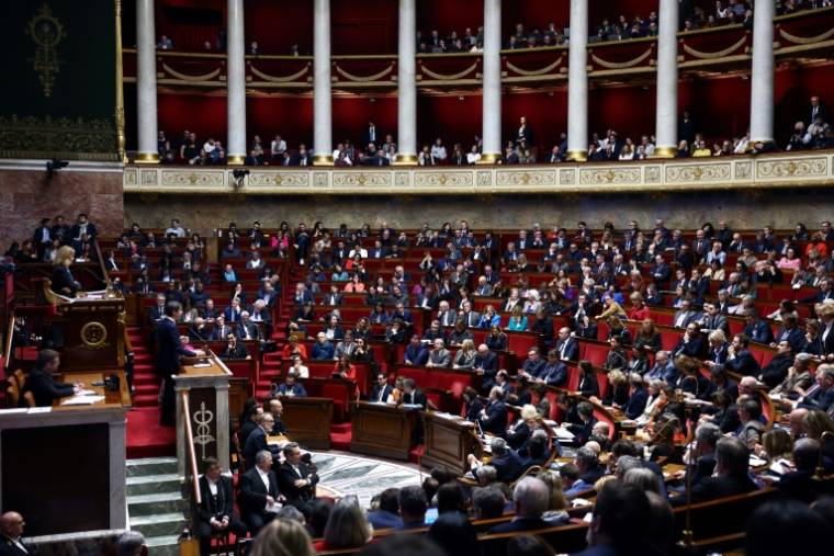 L'Assemblée nationale en séance, le 30 janvier 2024 à Paris  ( AFP / Emmanuel Dunand )