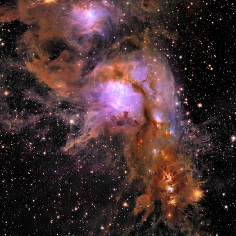 La nébuleuse Messier 78, avec des étoiles très brillantes au centre et en haut, qui repoussent les nuages moléculaires où elles ont vu le jour, et qui entourent encore en bas de nouvelles étoiles, dans une image d'Euclid publiée le 23 mai 2024  ( ESA/Euclid/Euclid Consortium/NASA / Handout )