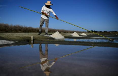Un saunier récolte du sel dans un marais salant à Saint-Clément-des-Baleines, à la pointe ouest de l'Ile de Ré, dans l'ouest de la France, le 15 septembre 2023 ( AFP / Christophe ARCHAMBAULT )