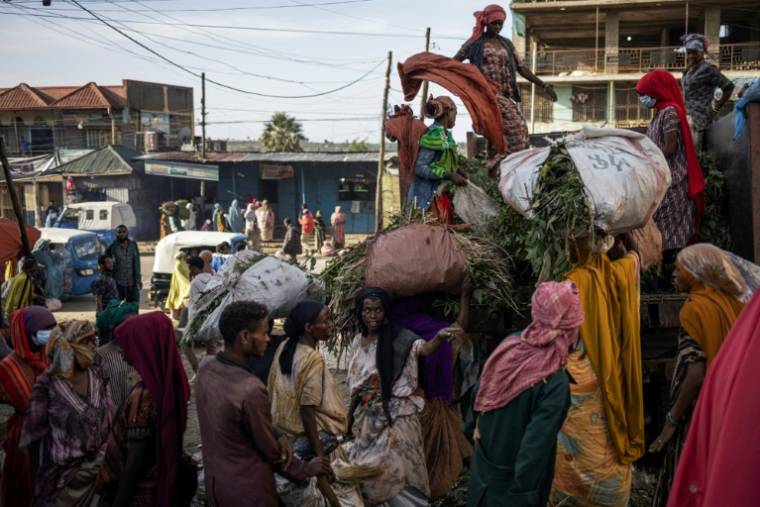 Sur le marché au khat d'Aweday (Ethiopie), le 15 avril 2024 ( AFP / Michele Spatari )