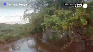 Inondations au Kenya: La Croix-Rouge sauve un homme coincé dans un arbre depuis cinq jours