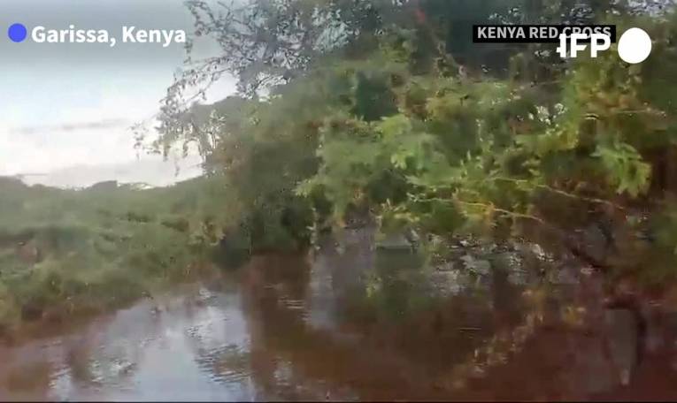 Inondations au Kenya: La Croix-Rouge sauve un homme coincé dans un arbre depuis cinq jours