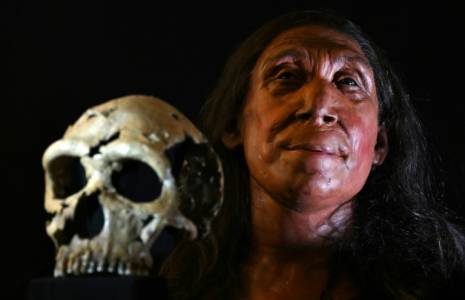 Reconstitution d'un crâne et du visage d'une femme néandertalienne de 75 000 ans, nommée Shanidar Z d'après le nom de la grotte du Kurdistan irakien où son crâne a été trouvé en 2018, à l'Université de Cambridge, le 25 avril 2024 en Angleterre ( AFP / Justin TALLIS )