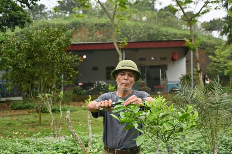 Le Tuan Binh (El Mekki Ali) dans son jardin, dans la province de Phu Tho, le 11 avril 2024 au Vietnam ( AFP / Nhac NGUYEN )