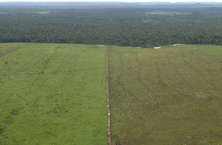 BRÉSIL: LA DÉFORESTATION EN AMAZONIE ATTEINT UN RECORD AU PREMIER SEMESTRE 2022