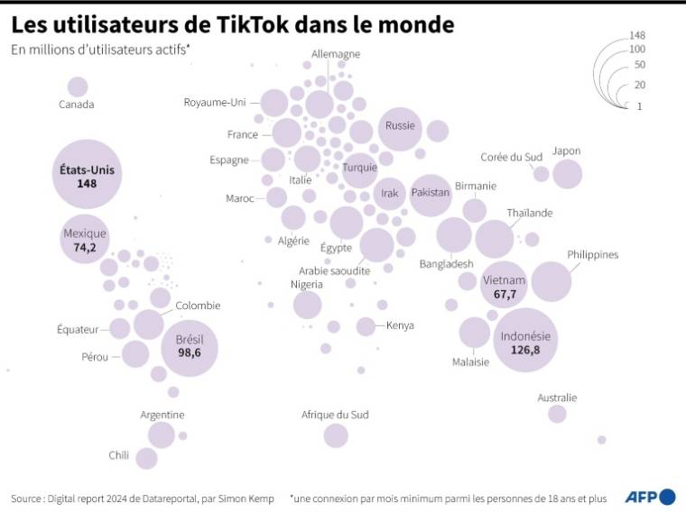 Nombre d'utilisateurs actifs de TikTok par pays, d'après le Digital Report 2024 de DataReportal ( AFP / Julia Han JANICKI )