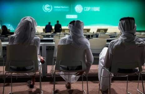 Des participants à la COP28, le 2 décembre 2023 à Dubaï ( AFP / Giuseppe CACACE )